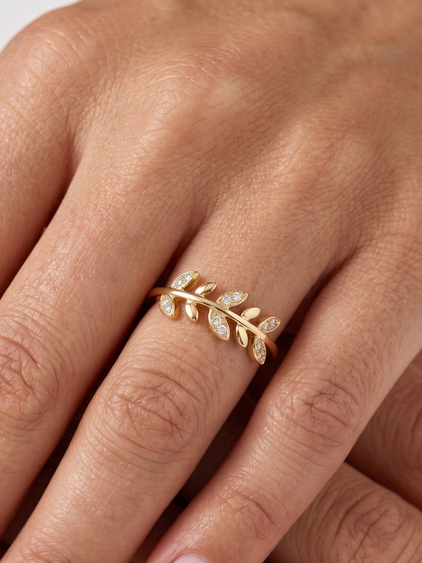 Anillo Raiz