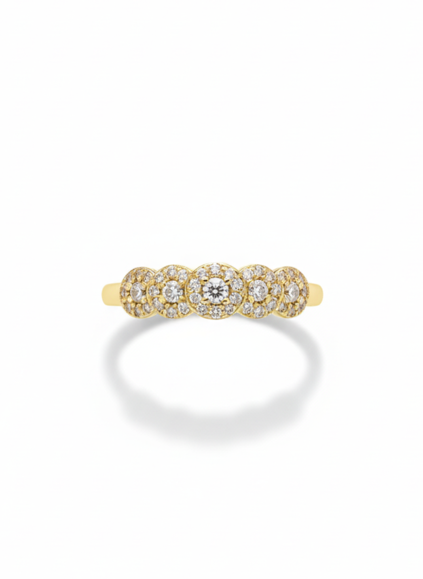 Anillo finito
