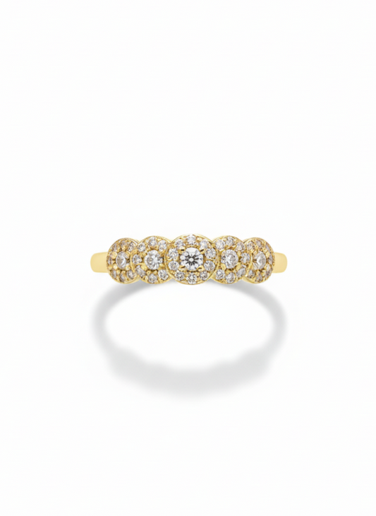 Anillo finito