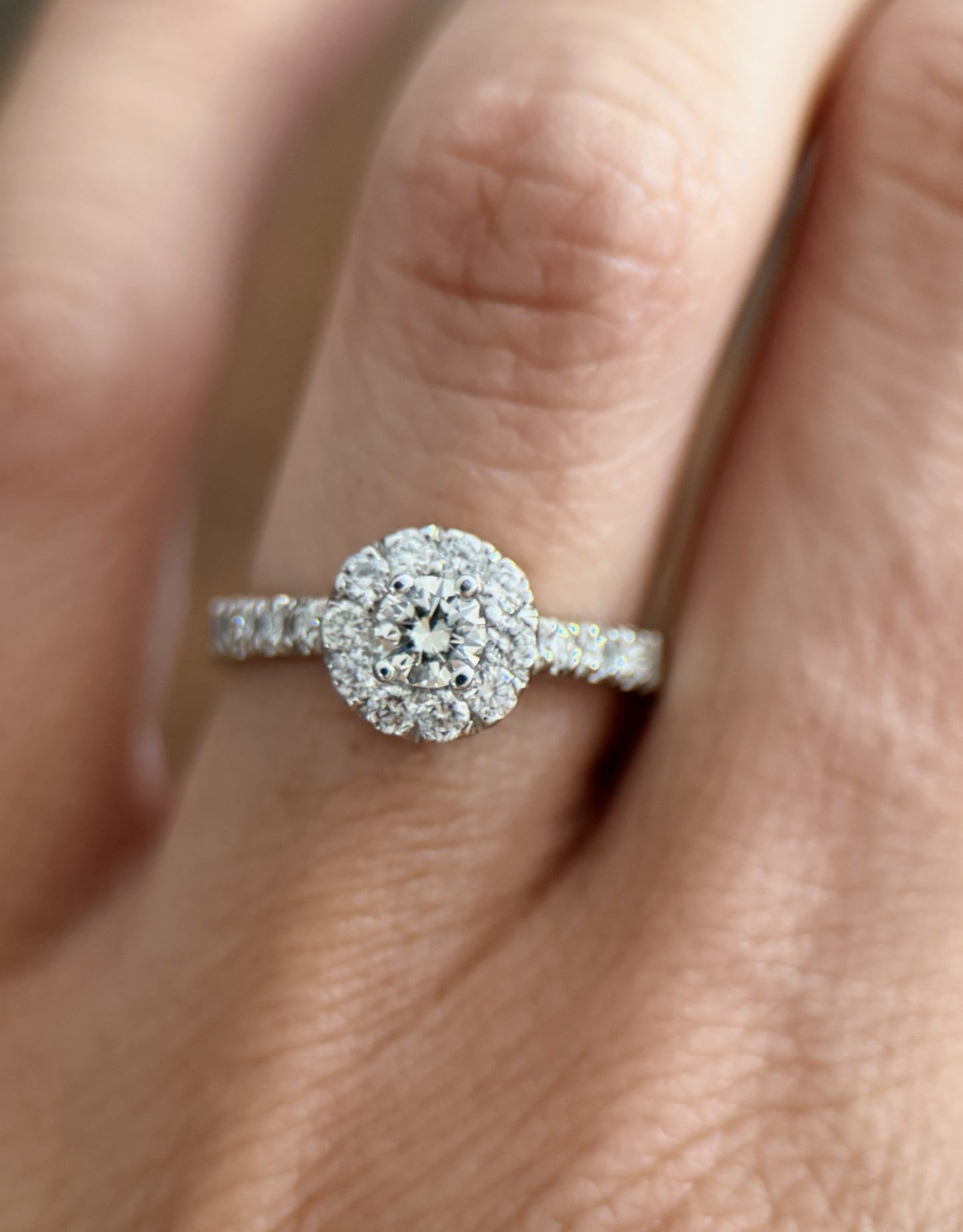 Anillo Aria