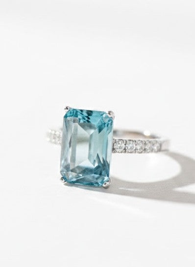 Anillo Viena